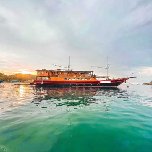 Labuan Bajo Sailing Komodo Vip