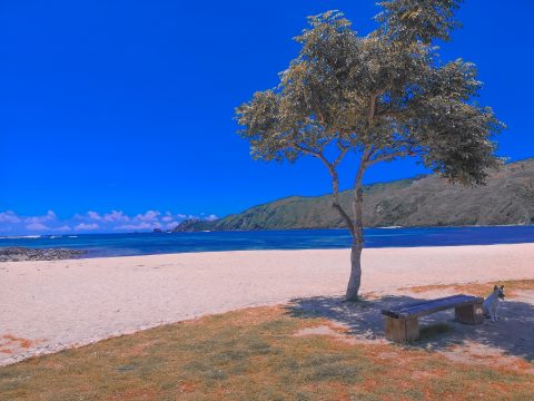 Pantai Kuta - Paket Tour Lombok Sembalun + 3 Gili - Agatha Tour