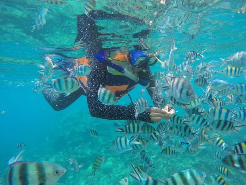 Pesona Pantai Tanjung Tinggi Belitung - Agatha Tour