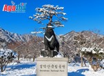 Paket Tour 6D Korea Sorak Seoul