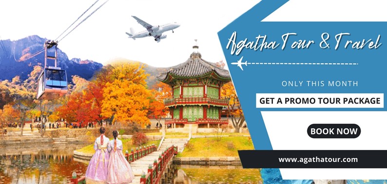 Paket Tour Korea Autumn 8 Hari 6 Malam