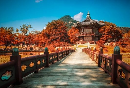 Paket Tour Korea Selatan