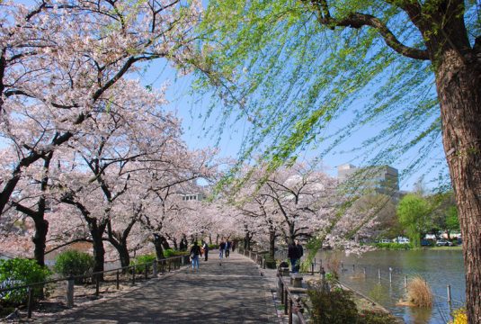 ueno park