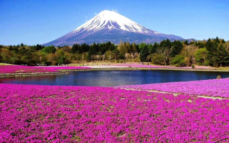 Gunung-Fuji