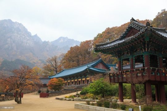 paket wisata korea 6 hari