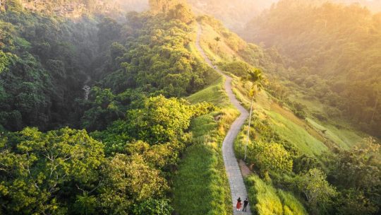 tempat wisata di bali terbaru - bukit cinta campuhan