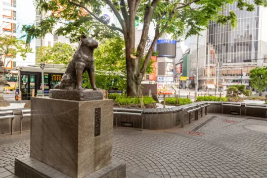 hachiko statue at shibuya