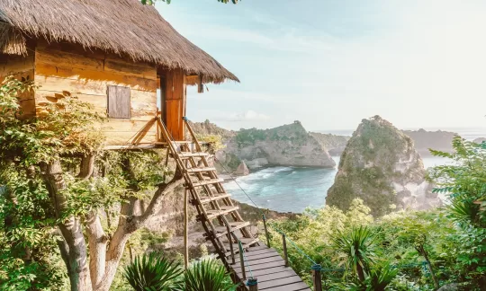 open trip bali nusa penida - tree house and thousand island