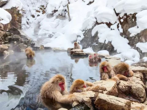 Onsen