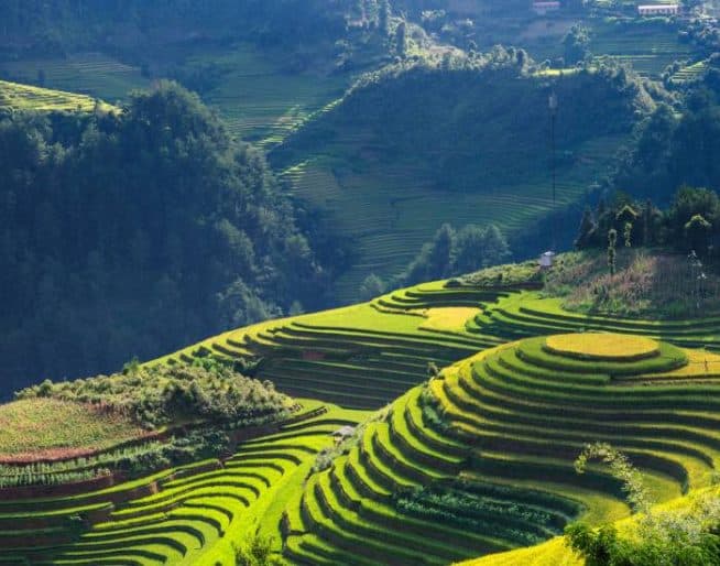 https://agathatour.com/7-fakta-unik-sapa-vietnam